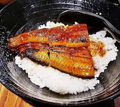 Eel Rice Bowl